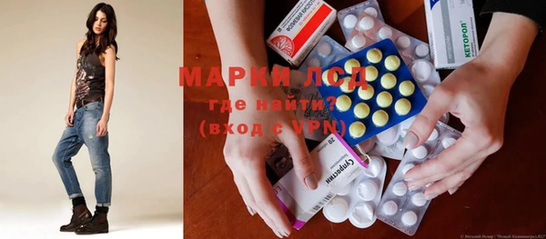 ГАЛЛЮЦИНОГЕННЫЕ ГРИБЫ Ельня