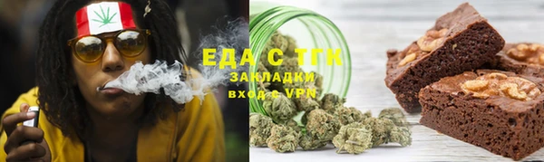 ГАЛЛЮЦИНОГЕННЫЕ ГРИБЫ Ельня