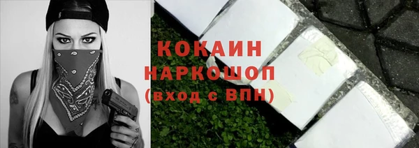 ГАЛЛЮЦИНОГЕННЫЕ ГРИБЫ Ельня