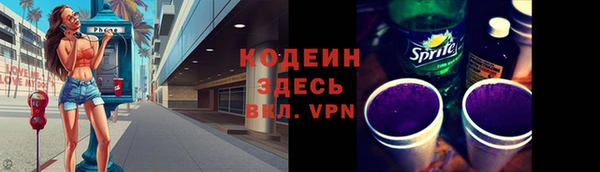 ГАЛЛЮЦИНОГЕННЫЕ ГРИБЫ Ельня