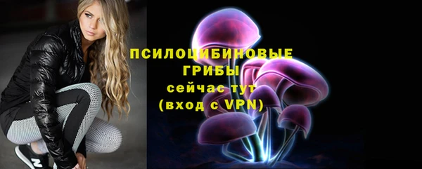 2c-b Елабуга