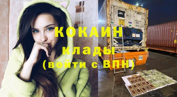 ГАЛЛЮЦИНОГЕННЫЕ ГРИБЫ Ельня