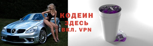ГАЛЛЮЦИНОГЕННЫЕ ГРИБЫ Ельня