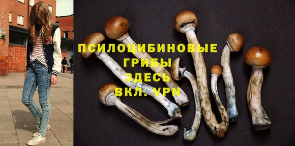 2c-b Елабуга