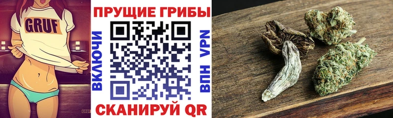 Галлюциногенные грибы Cubensis Ковров
